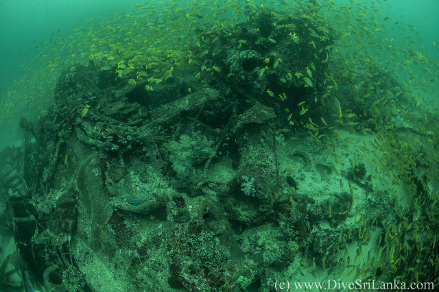 Stern debris 1