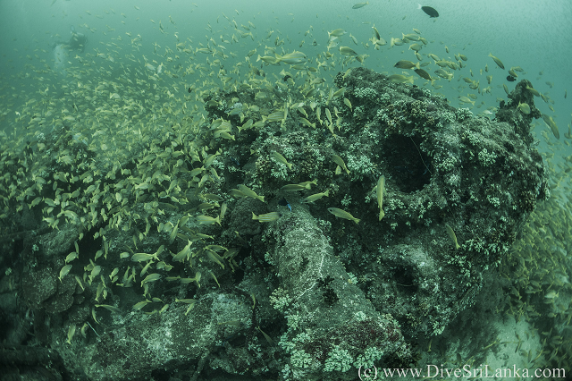 Stern debris 2
