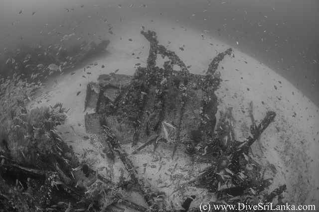 Port side debris